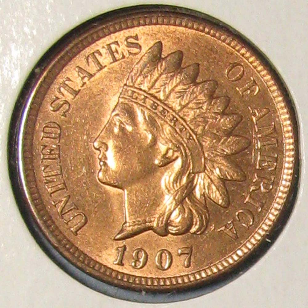 Purchases-From-The-South-Shore-Coin-Show-In-Milwaukee,-WI